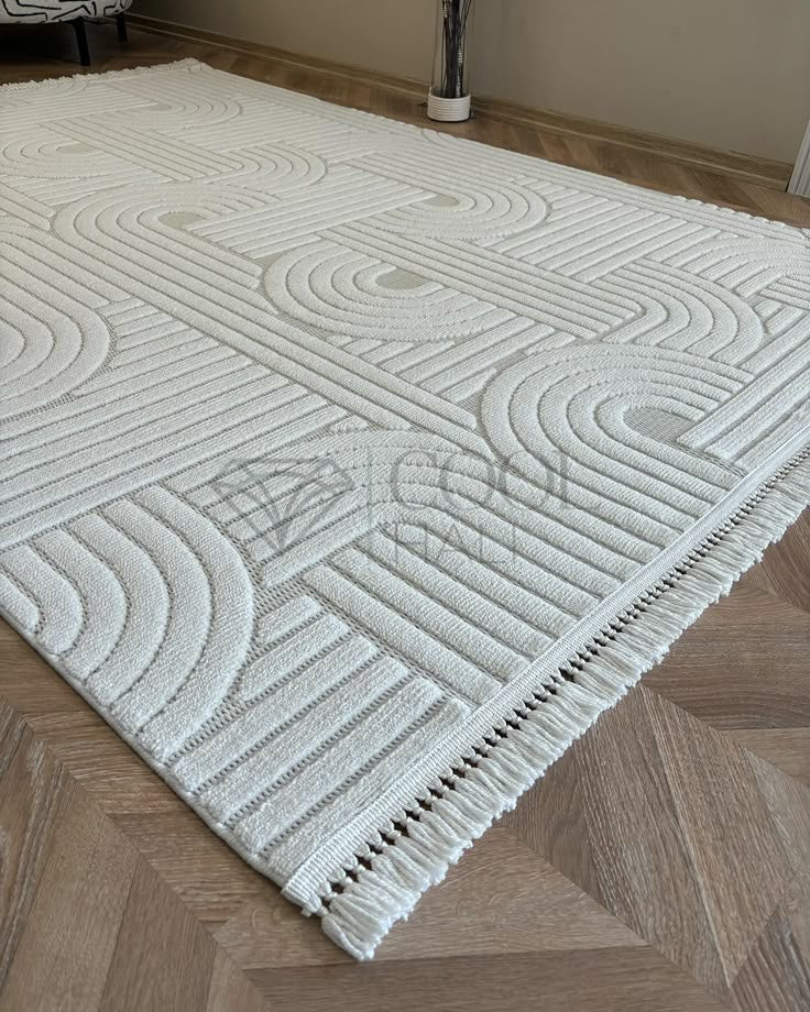 Professional Carpet Cleaning Services